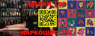 крисы Славгород