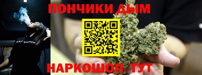 дурь Сланцы