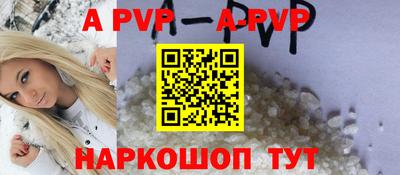 крисы Славгород