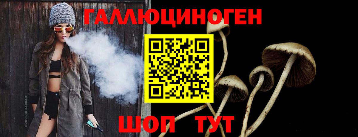 Псилоцибиновые грибы MAGIC MUSHROOMS  Псилоцибиновые грибы ЛСД  Вход с VPN  Норильск 